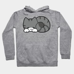 Sleepy Cat - Grey & White Hoodie